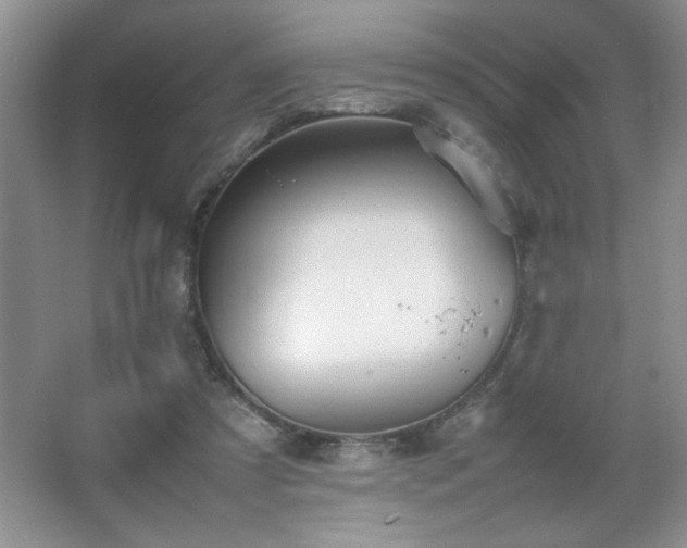 X0000067870305200604131243