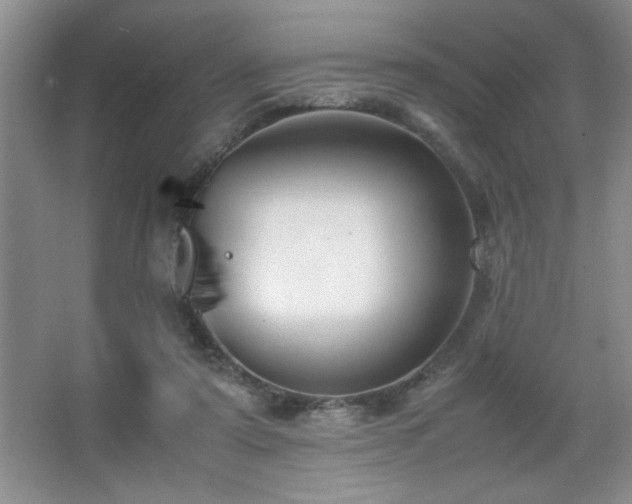 X0000067870307200604131243