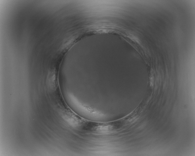 X0000067870314200604131243