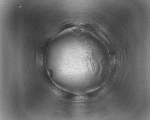 X0000067870315200604131243