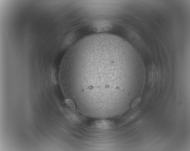 X0000067870316200604131243