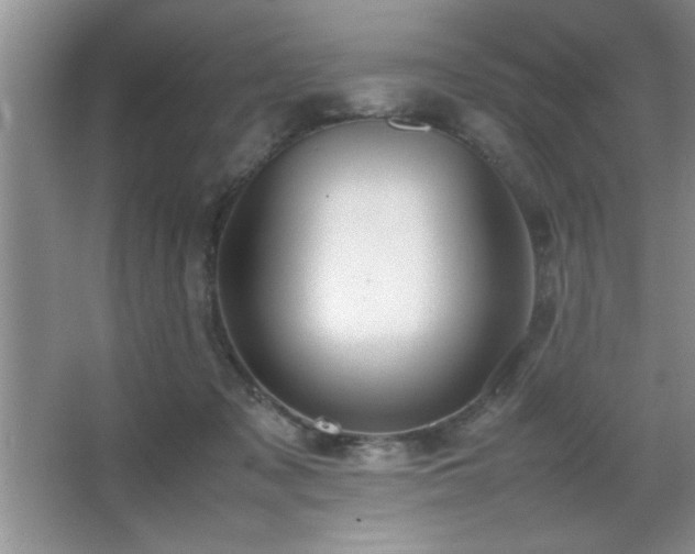 X0000067870317200604131243