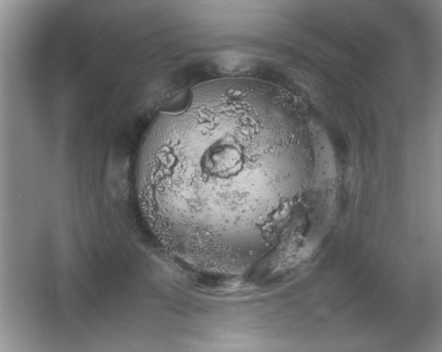 X0000067870319200604131243