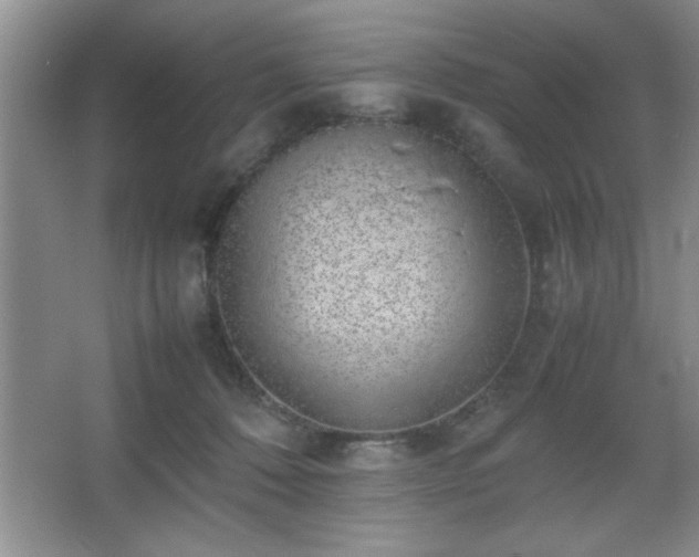 X0000067870320200604131243