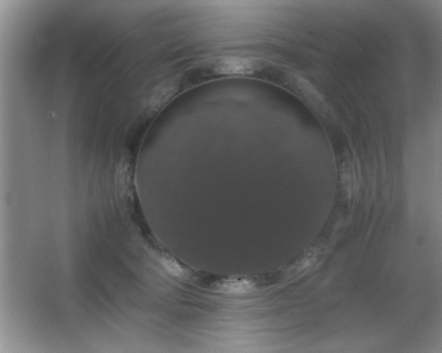 X0000067870322200604131243