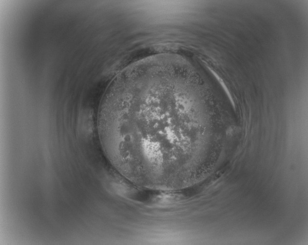 X0000067870323200604131243