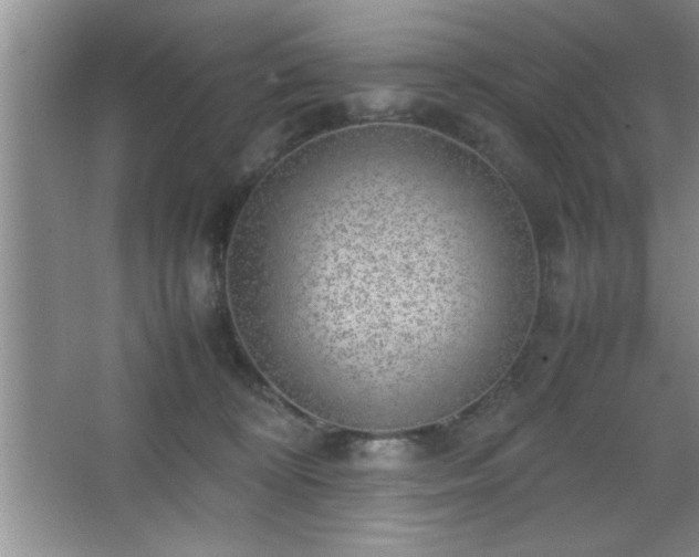 X0000067870324200604131243