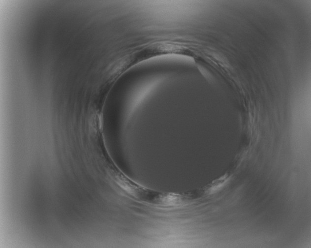 X0000067870325200604131243