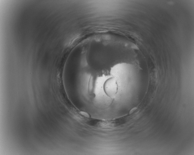 X0000067870327200604131243