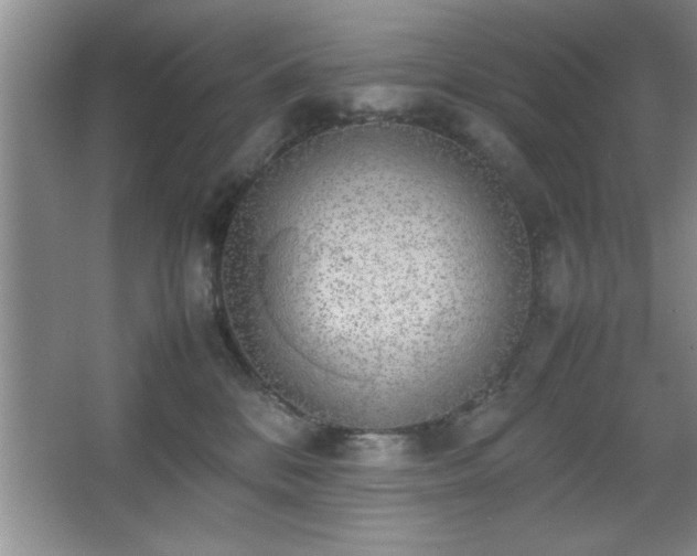 X0000067870328200604131243