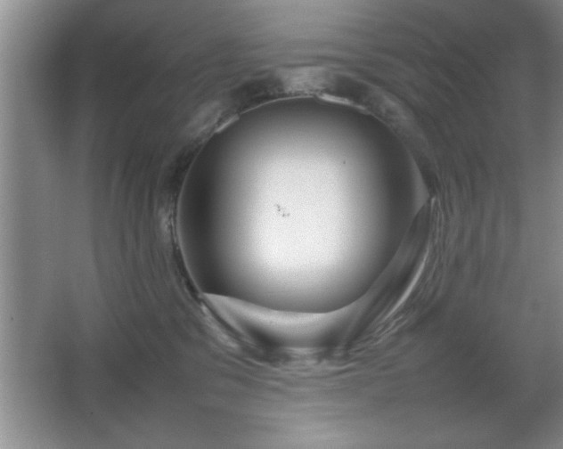 X0000067870329200604131243