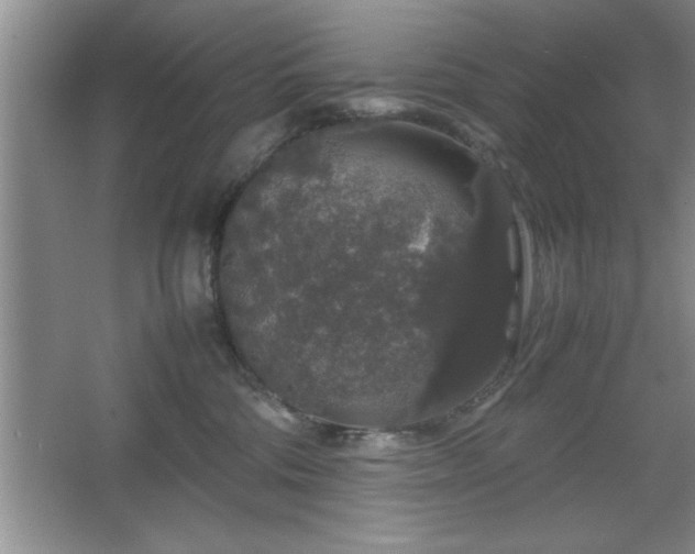 X0000067870330200604131243