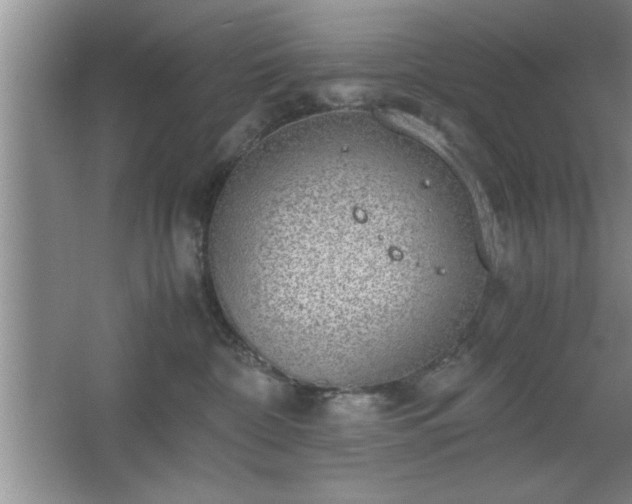 X0000067870332200604131243