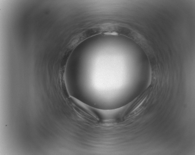 X0000067870333200604131243