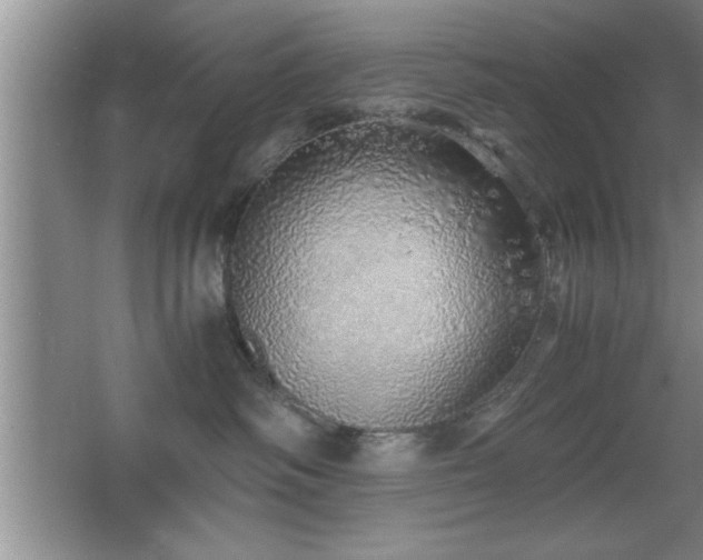 X0000067870334200604131243