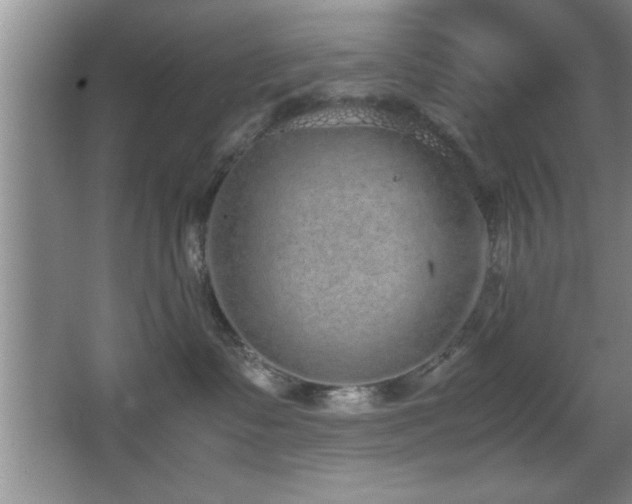 X0000067870335200604131243