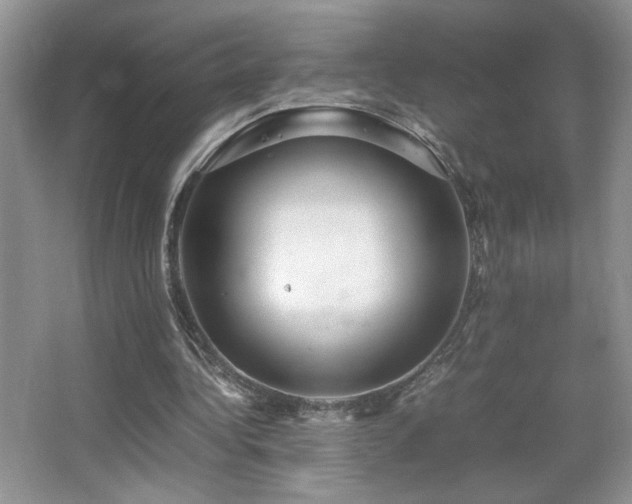 X0000067870340200604131242