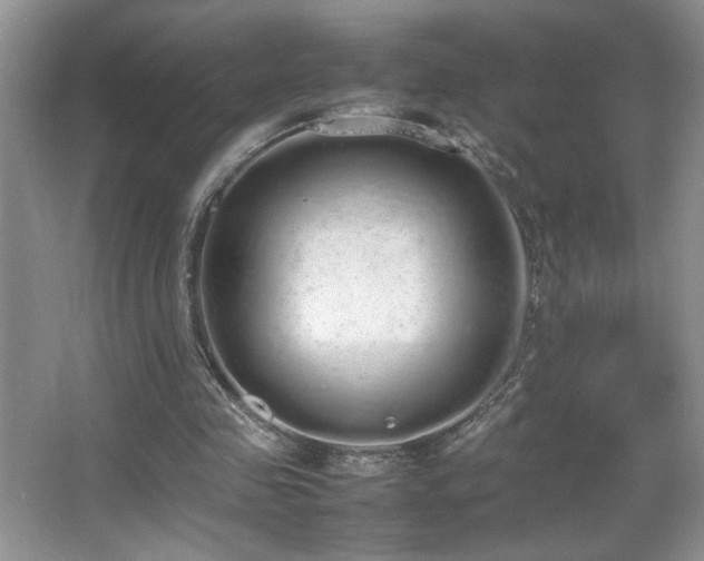 X0000067870341200604131242