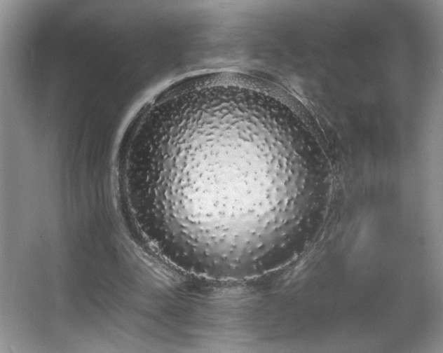 X0000067870342200604131242