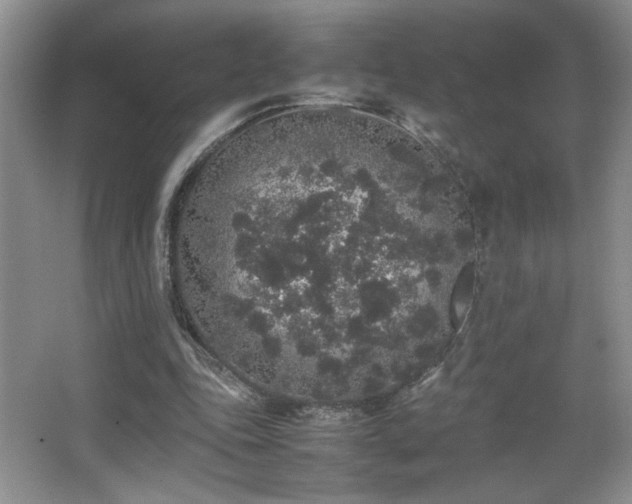 X0000067870343200604131242