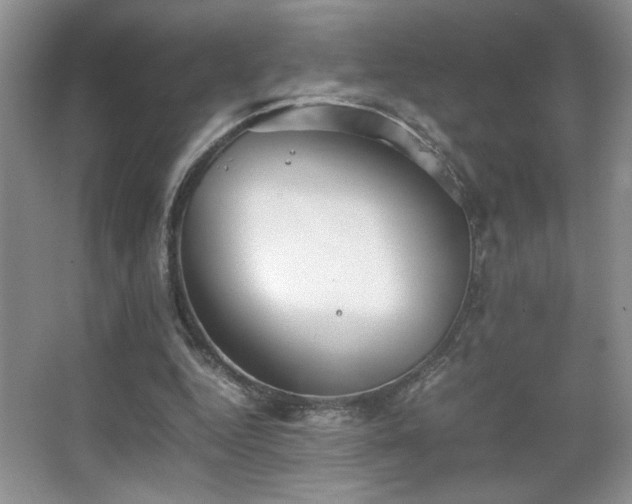 X0000067870344200604131242