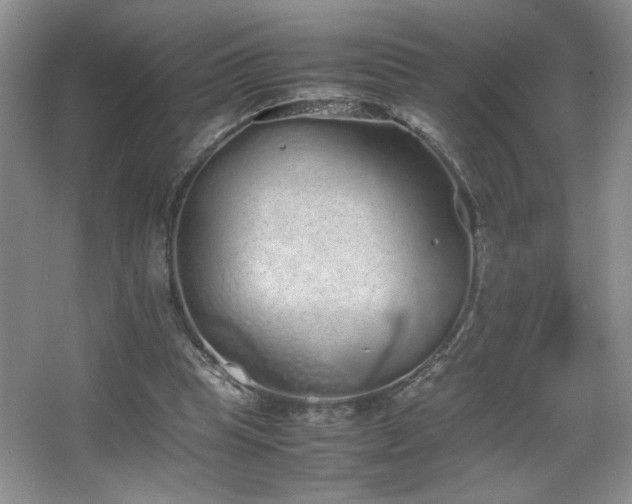 X0000067870345200604131242