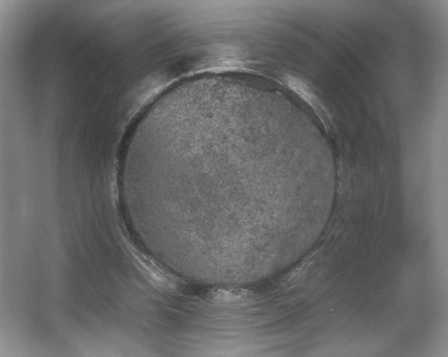 X0000067870346200604131242