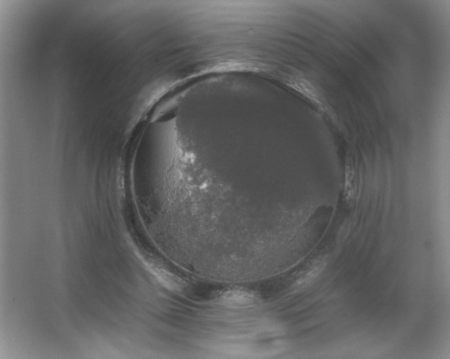 X0000067870348200604131242