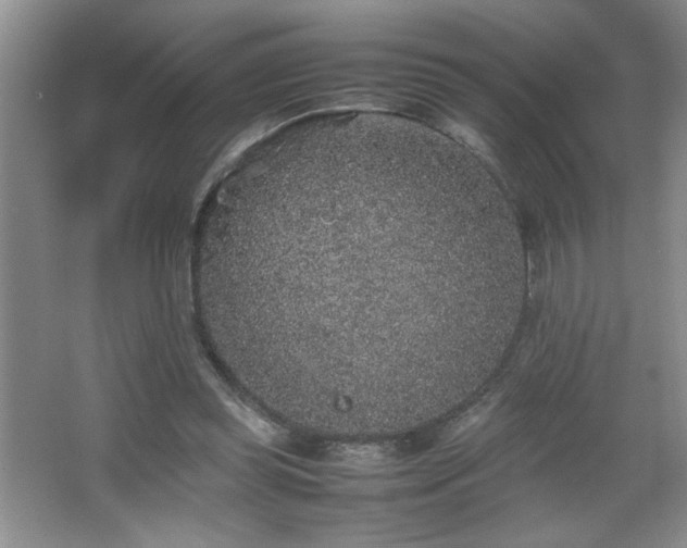 X0000067870349200604131242