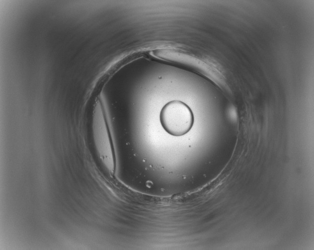 X0000067870350200604131242