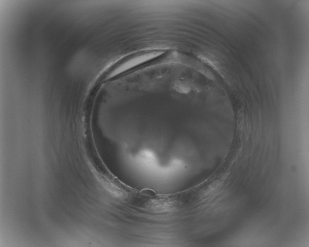 X0000067870351200604131242