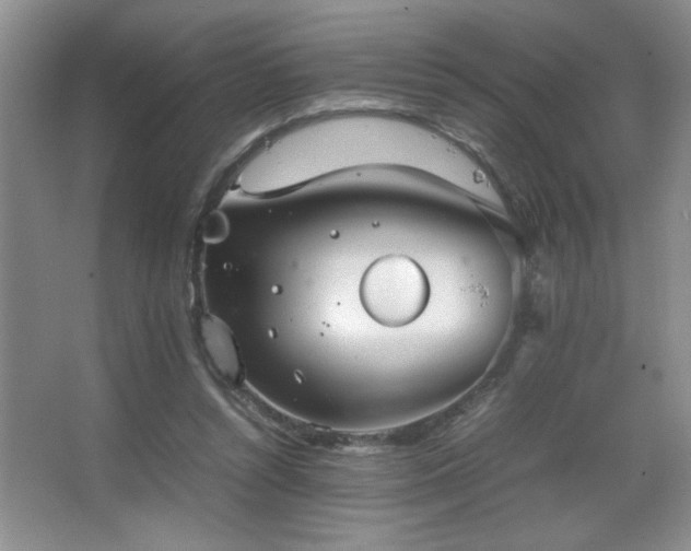 X0000067870352200604131242