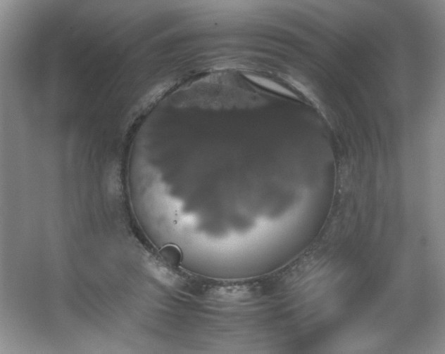 X0000067870353200604131242