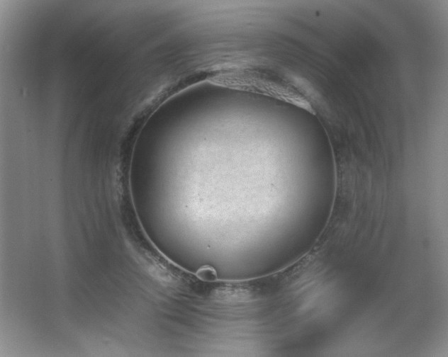 X0000067870354200604131242