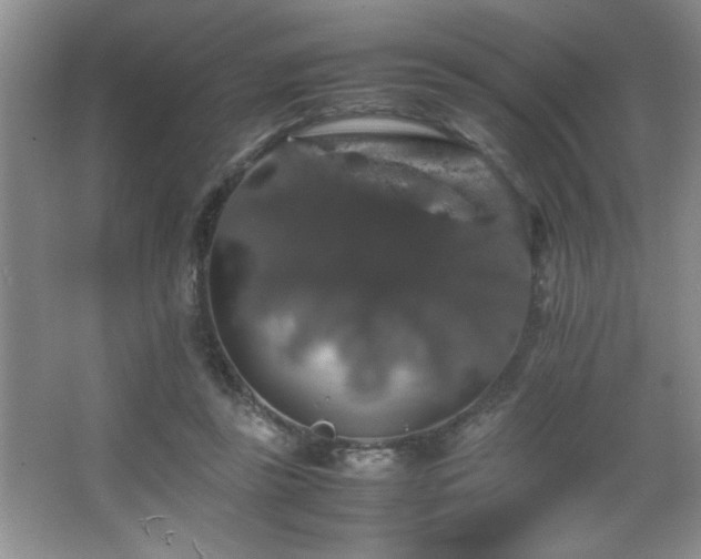 X0000067870355200604131242