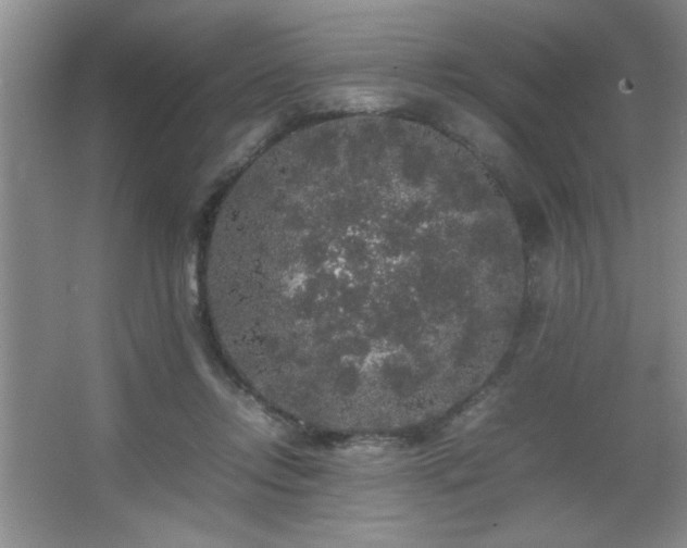 X0000067870358200604131242