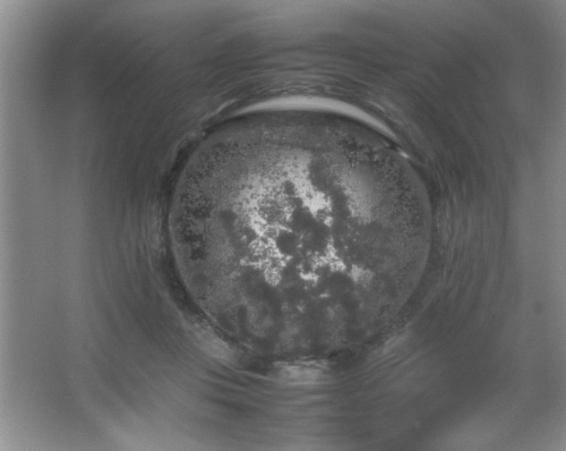 X0000067870359200604131242