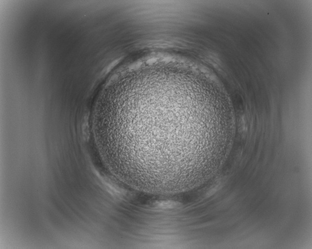 X0000067870360200604131242