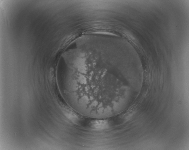 X0000067870361200604131242