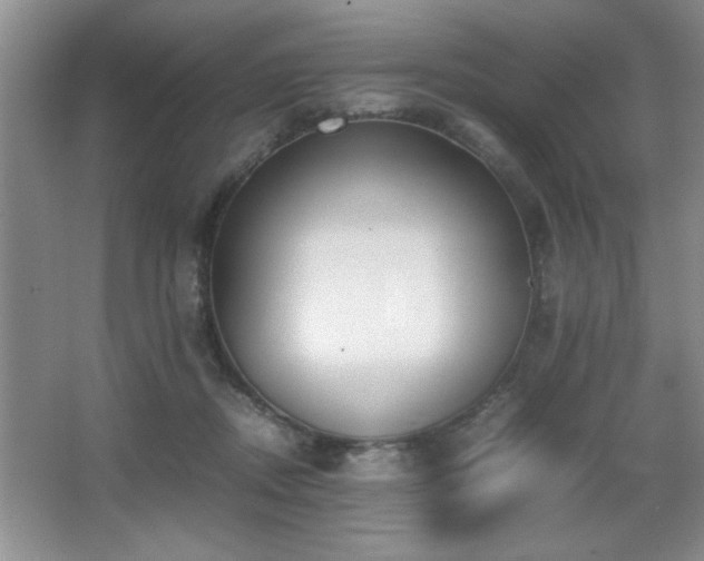 X0000067870362200604131242