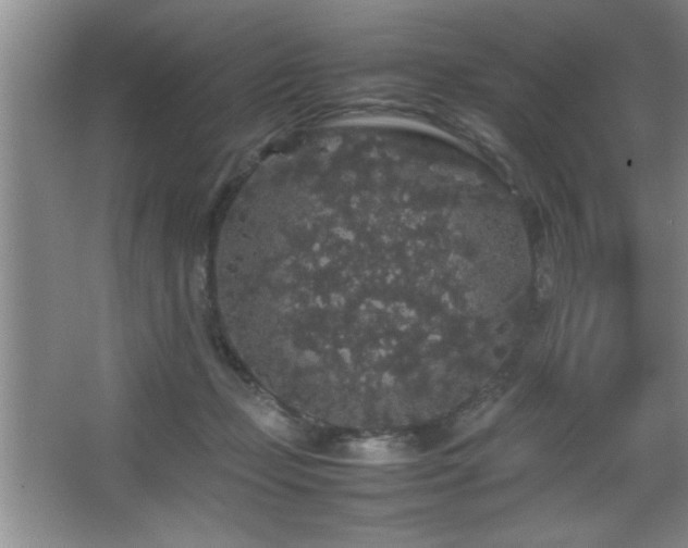 X0000067870365200604131242