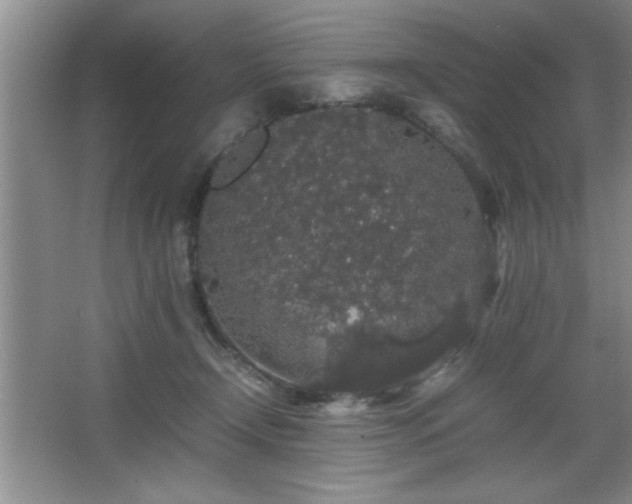 X0000067870366200604131242