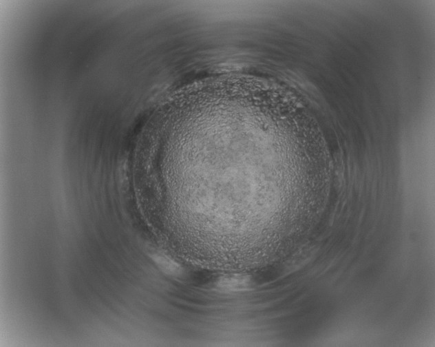 X0000067870369200604131242