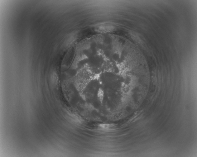 X0000067870371200604131242