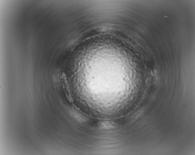 X0000067870372200604131242