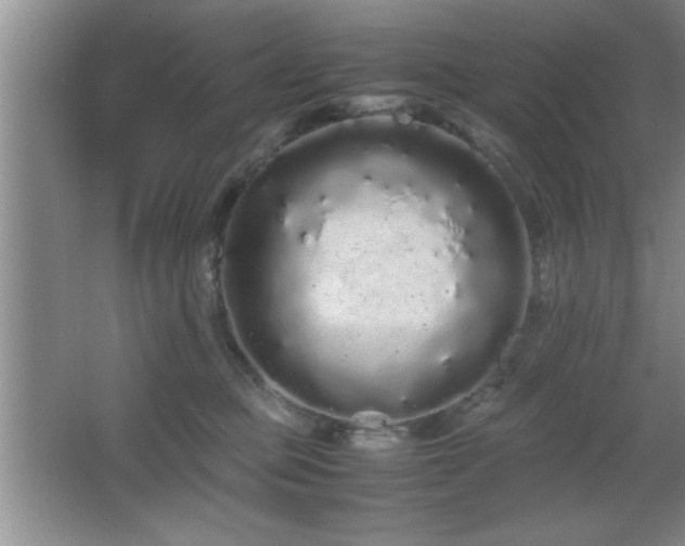 X0000067870373200604131242