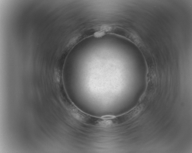 X0000067870374200604131242