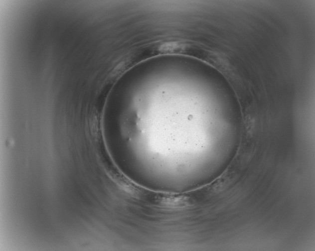 X0000067870375200604131242