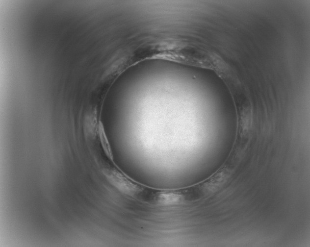 X0000067870376200604131242