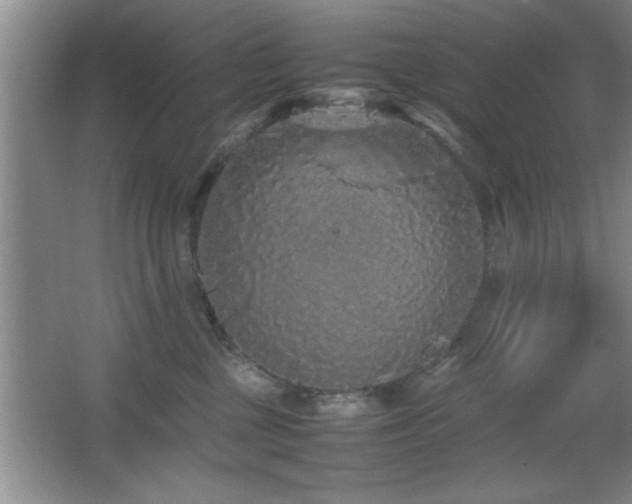 X0000067870377200604131242